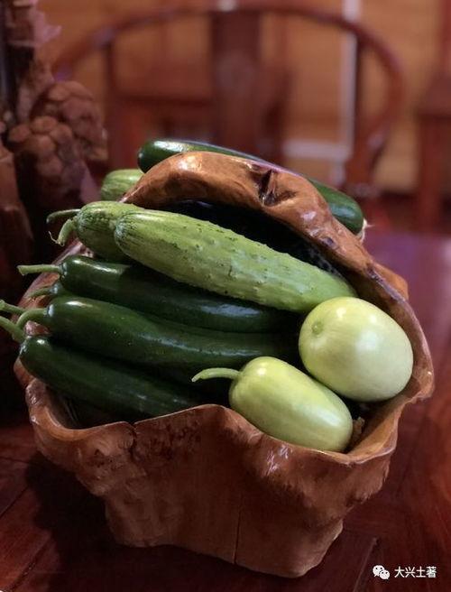 网红吃瓜社,揭秘娱乐圈幕后真相，带你领略明星们的真实生活