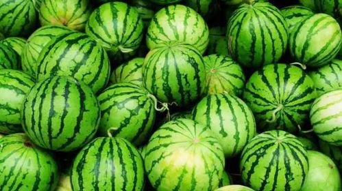 网红吃瓜颜色分类,颜色分类下的美食世界